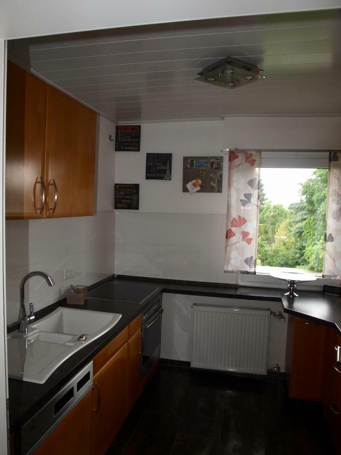 Sc Apartment - Nuernberg Messe / Fraenkisches Seenland シュヴァーバッハ エクステリア 写真